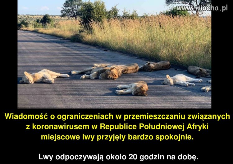 Taki to długo pożyje