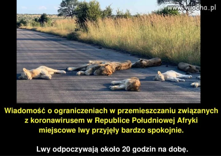 Taki to długo pożyje