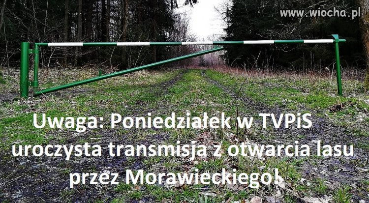 Bez tytułu.