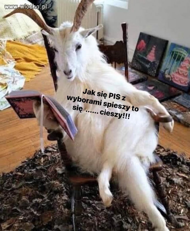 Kto się cieszy?