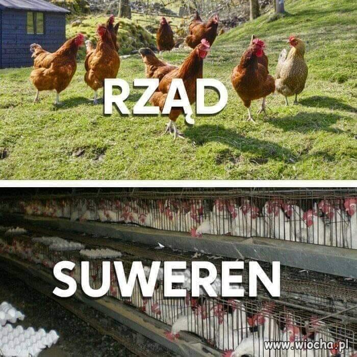 Tymczasem 