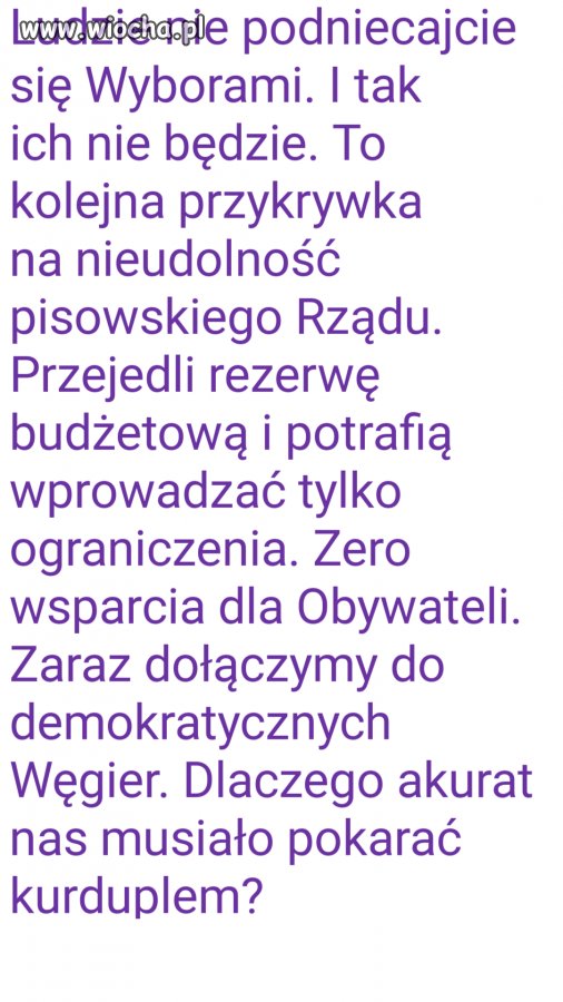 Wybory?