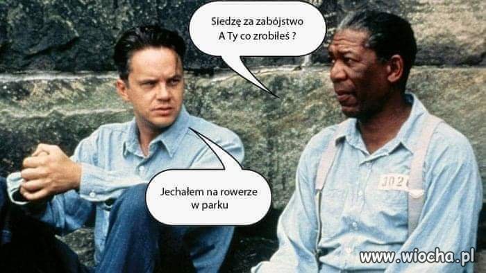 Jest wina