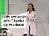 Szkoła tvp