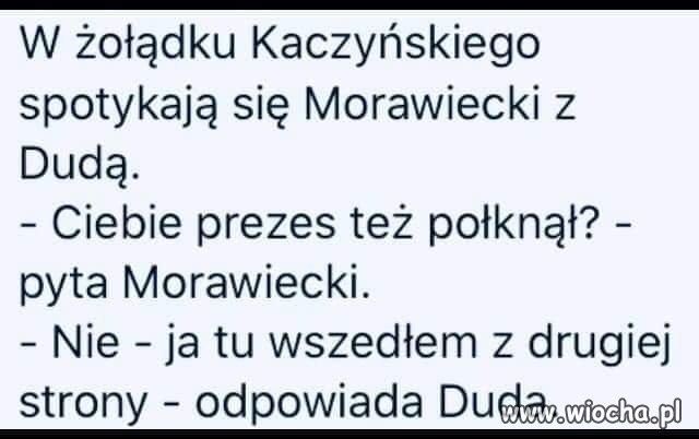 Panie Prezesie, melduję wykonanie zadania. 