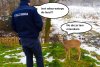 Problemy sarny