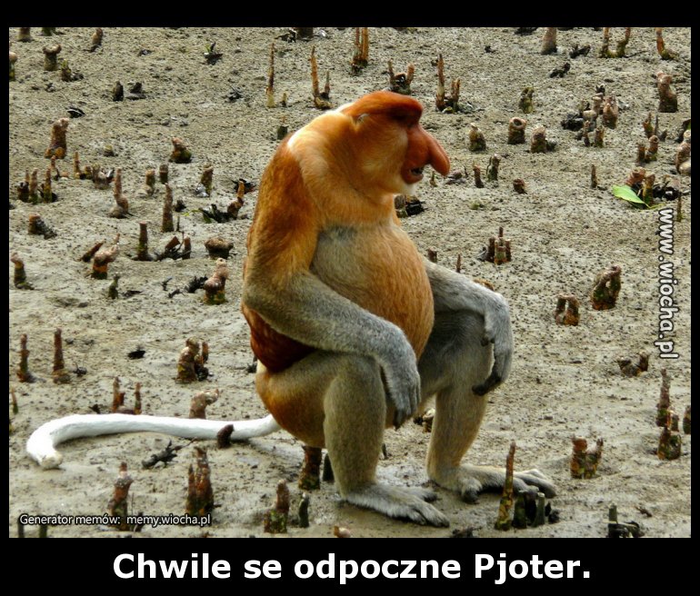 Chwile se odpoczne Pjoter.