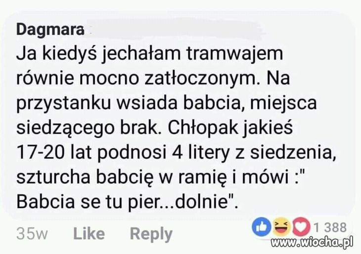 Kultura