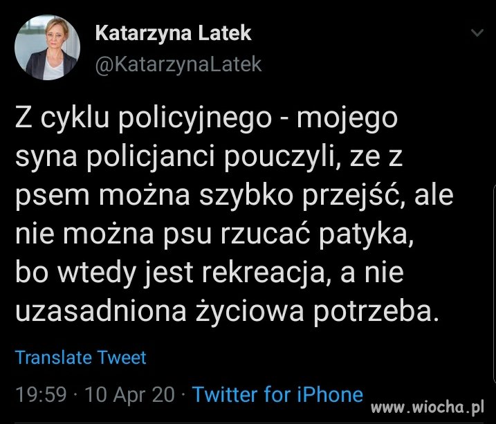 Reakcja psów