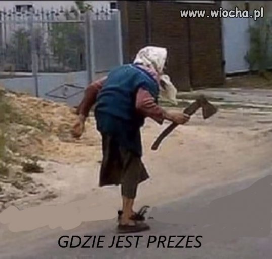 Gospodarka pada a on otwiera lasy