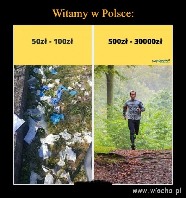 Bez komentarza. 