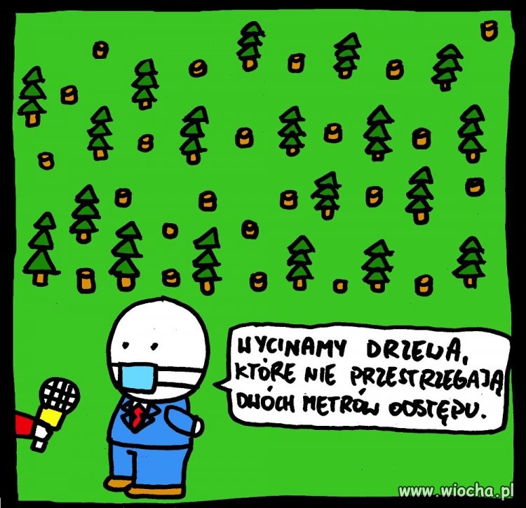 Polityka pod kopyto polityków