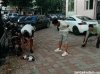 Szybka