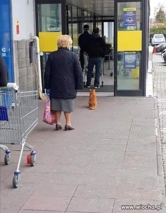 Zwykły poseł sam boi się wychodzić