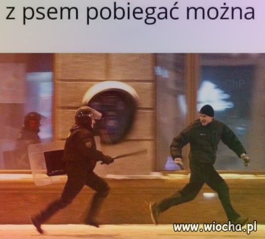 Z psem można 