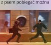 Z psem można 