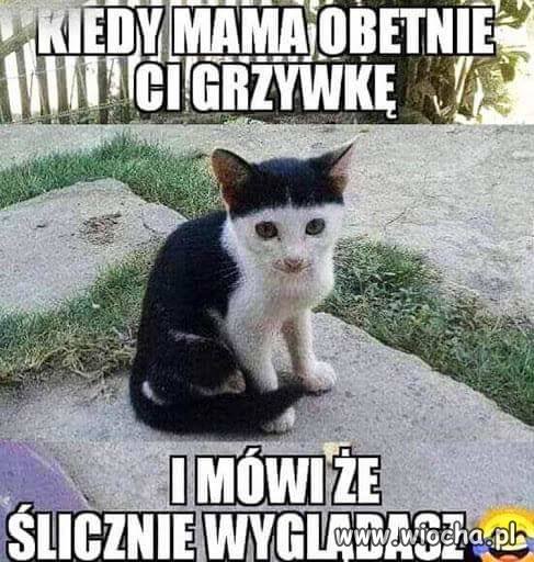 Fryzjer na kwarantannie