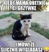 Fryzjer na kwarantannie