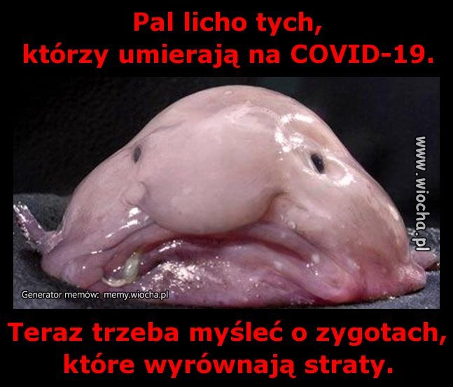 Pal licho tych,
którzy umierają na COVID-19.
