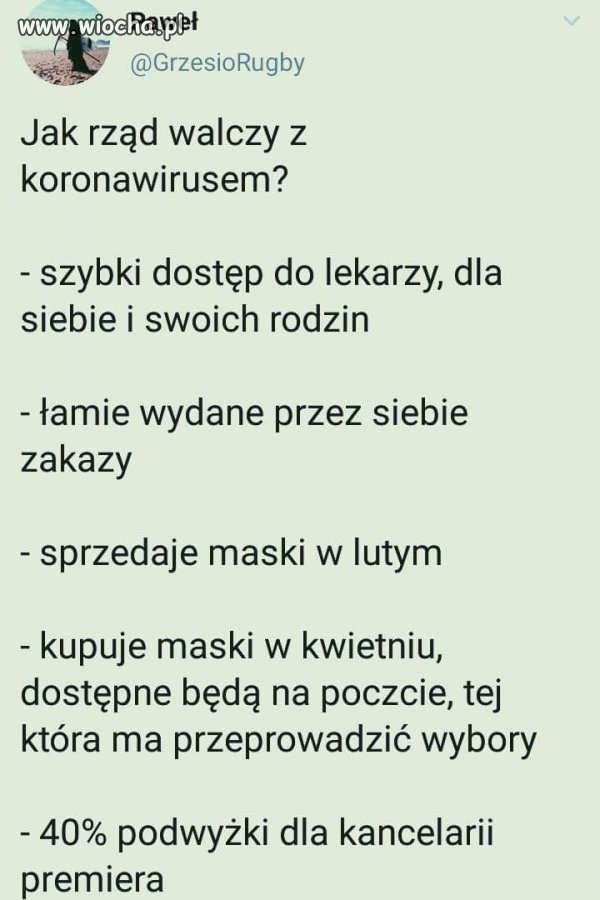 Krowy paść a nie krajem rządzić.