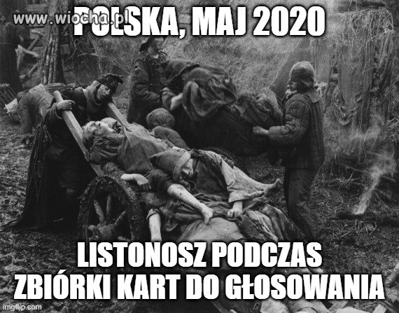 Wybory