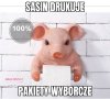 3sta polityka