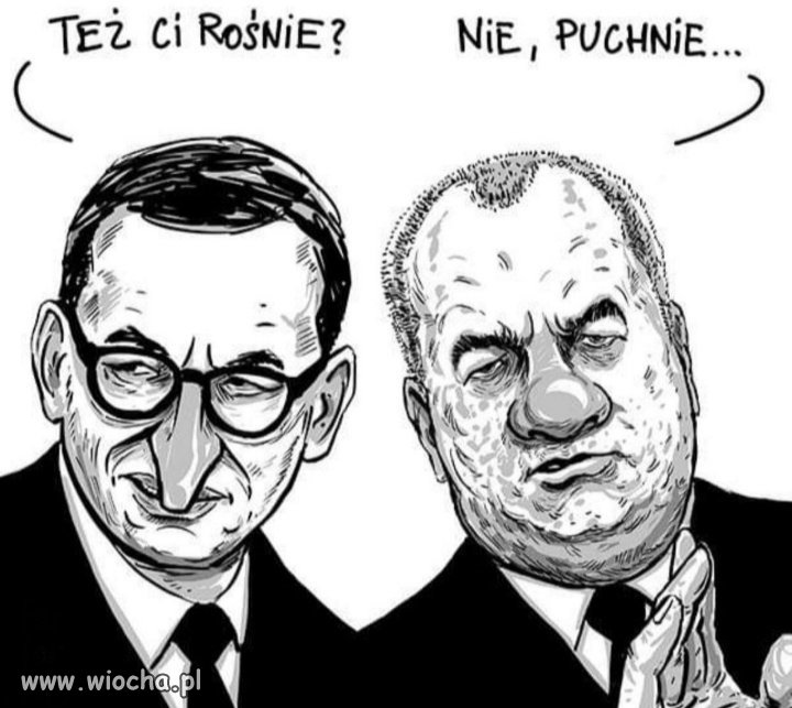 Męże stanu.