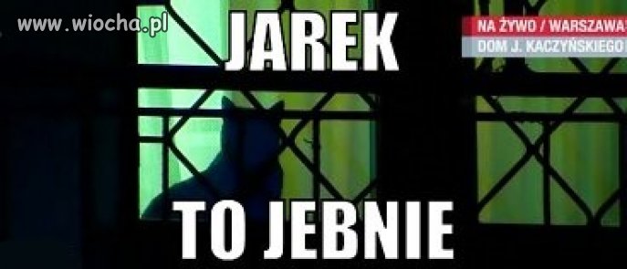 Kot też ma dość.