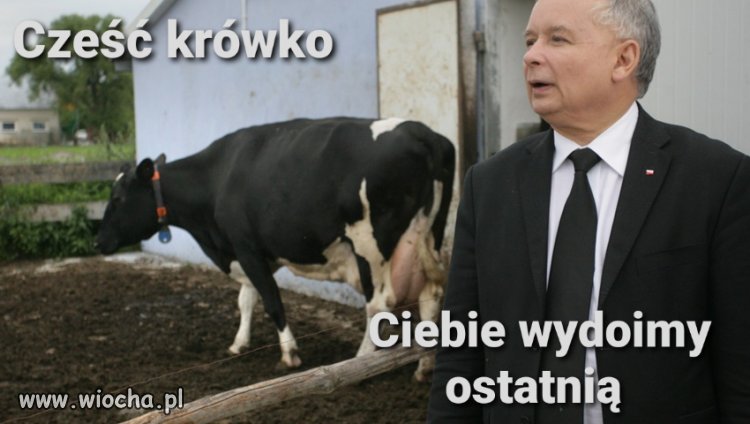Najpierw wydoimy obywateli