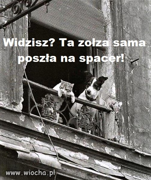 Bez tytułu.