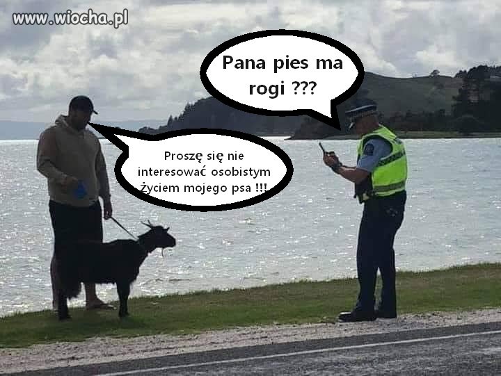 Takie tam ze spaceru w czasie epidemii