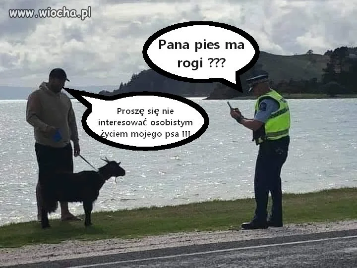 Takie tam ze spaceru w czasie epidemii