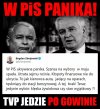 Jest panika