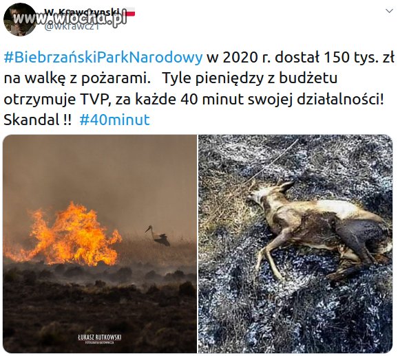 A Polacy robia kolejną zrzutkę. Dla strażaków