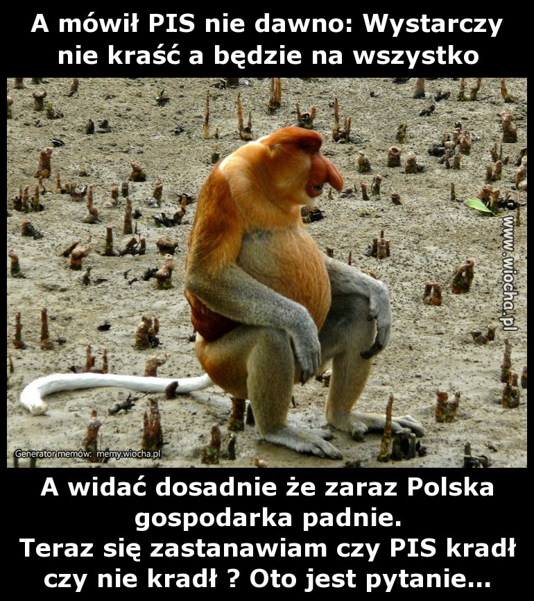 A mówił PIS nie dawno: Wystarczy nie kraść a