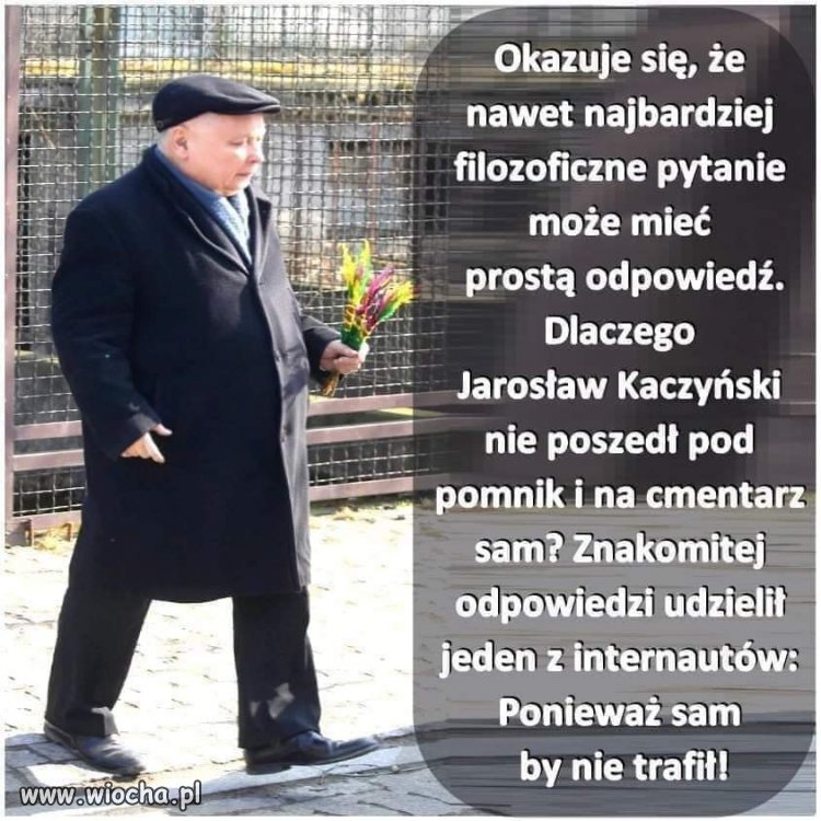 Teraz już wiesz ?