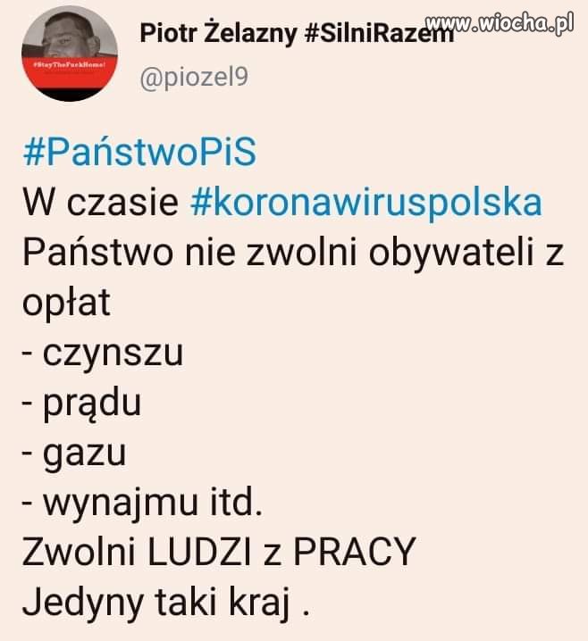 Jedyny