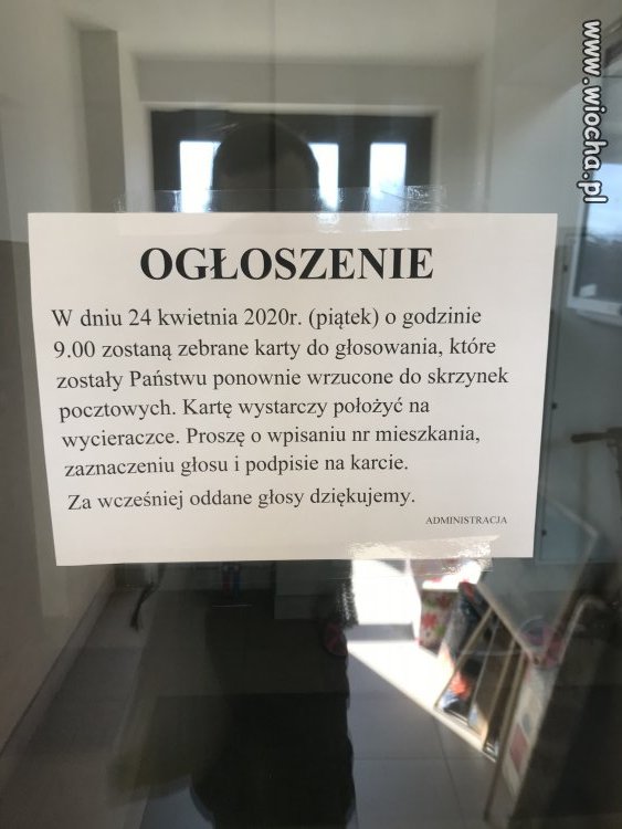 Wybory?