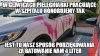 Wdzięczność hołoty nie zna granic