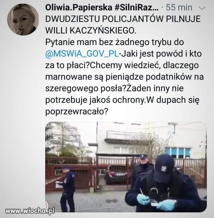 Ciekawe czego