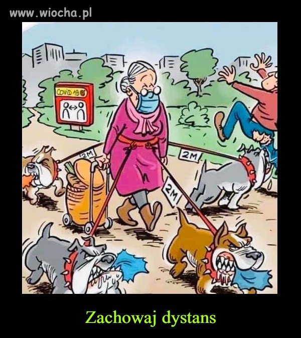 Opcja dla seniorów