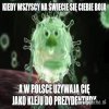 Koronawirus 