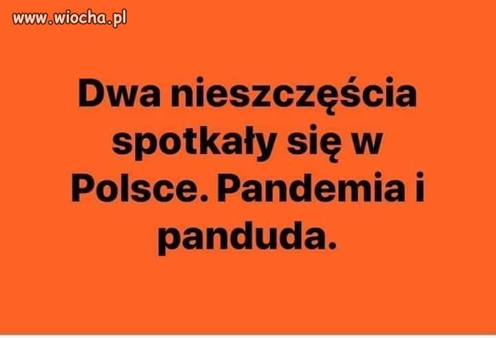 I nikt nie wie