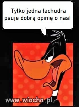 Bez tytułu.