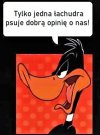 Bez tytułu.