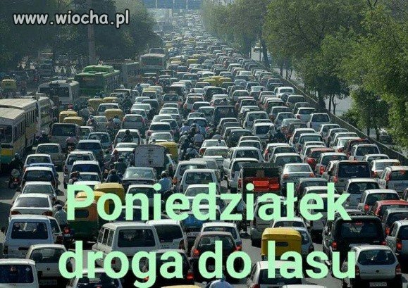 Droga do lasu...