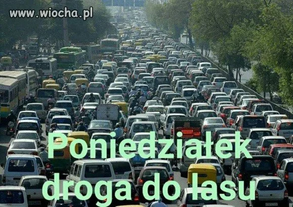 Droga do lasu...