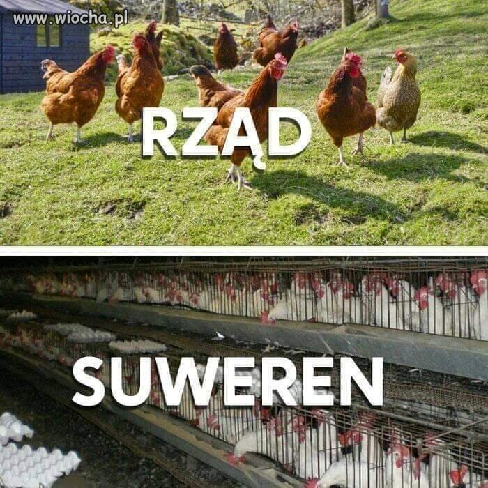 Takie porównanie