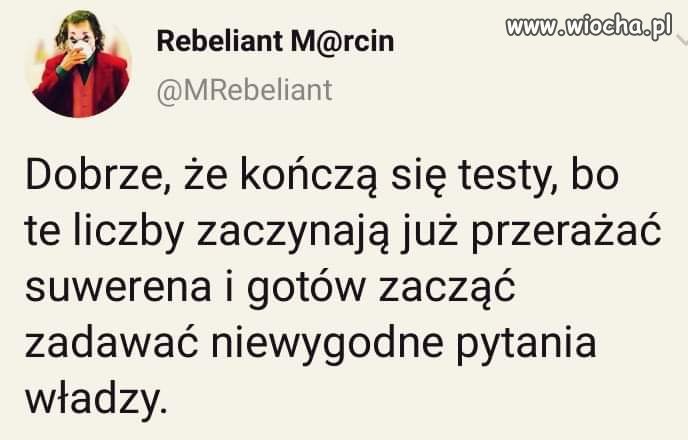 Bez komentarza 