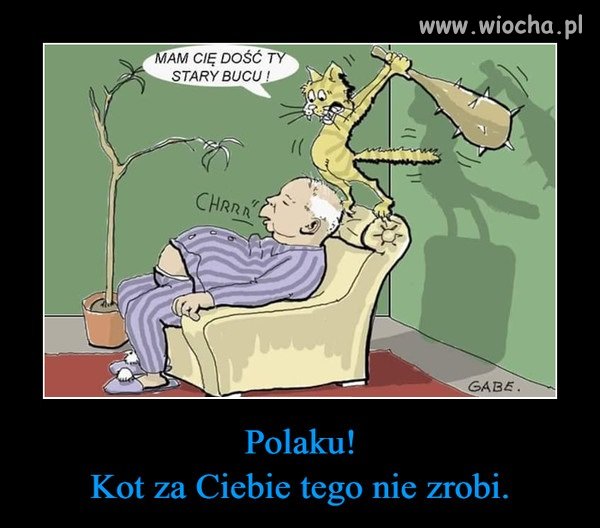 Wszyscy normalni mają go już dość ...